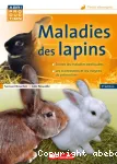 Maladies des lapins : toutes les maladies expliquées, les traitements et les moyens de prévention vignette
